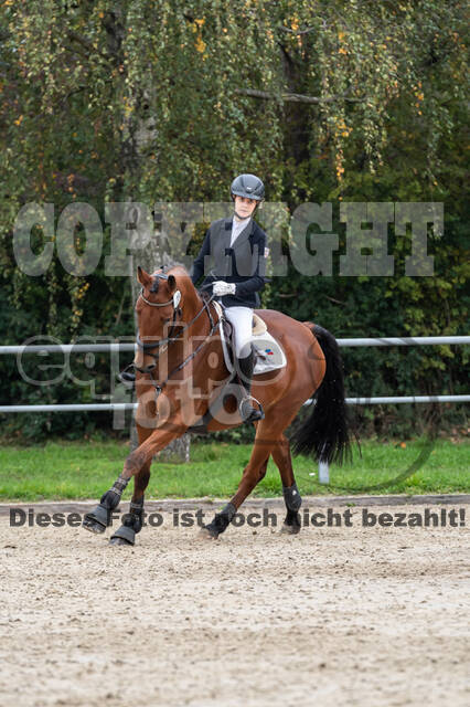 Reiter Schleswig-Holstein