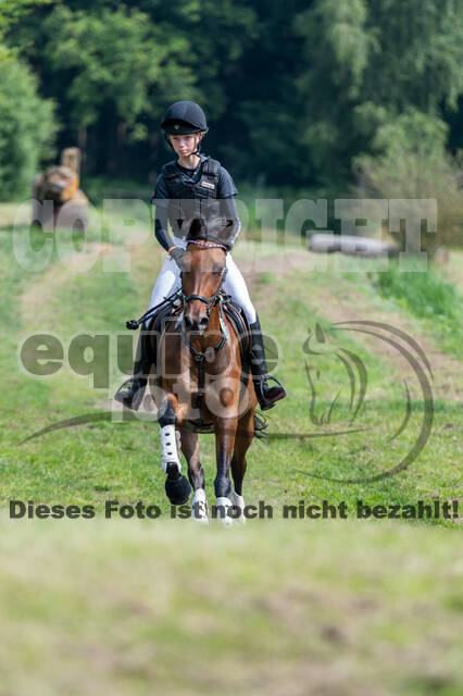 Goldene Schärpe 2021 - Ponys