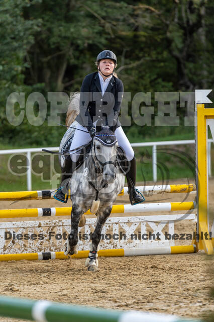 RFV Dinslaken-Hiesfeld (Herbstturnier)