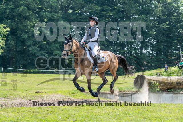 Goldene Schärpe 2021 - Ponys