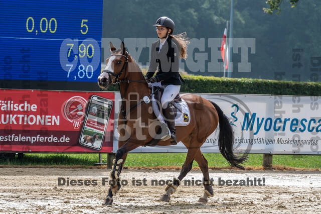 Goldene Schärpe 2021 - Ponys