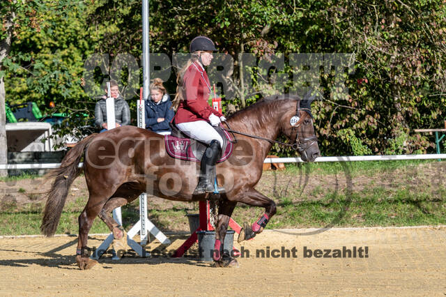 RFV Dinslaken-Hiesfeld (Herbstturnier)