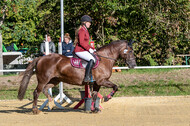 RFV Dinslaken-Hiesfeld (Herbstturnier)