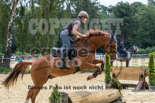 Hunter Geländetraining 10.07.2021 (Sonsbeck)