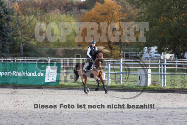 IGV Lehrgang der Sieger der Cups mit Frank Ostholt