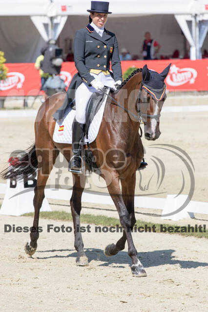 FEI European Championship Eventing 2017