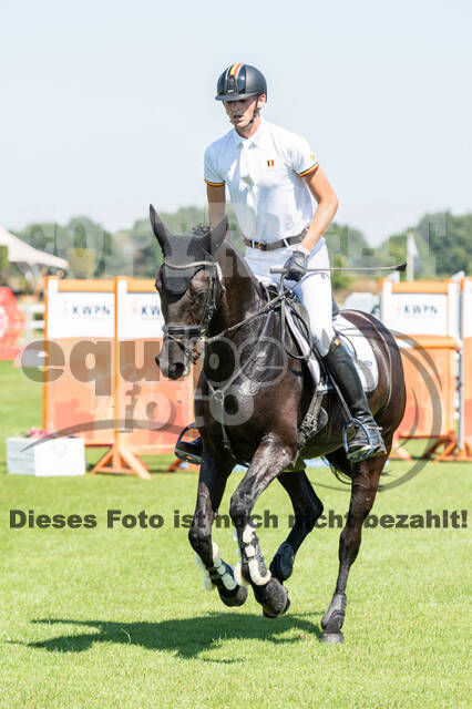 Kronenberg - De Peelbergen (August 2020)