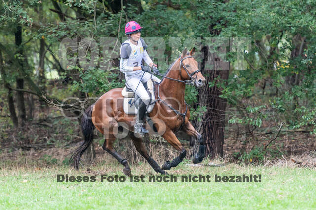 Vielseitigkeit RSV Wesel Obrighoven (26.+27.09.2020)