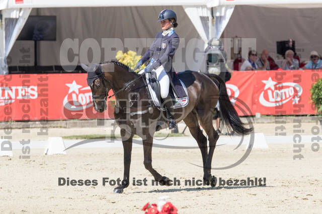 FEI European Championship