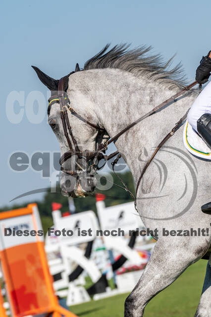 Kronenberg - De Peelbergen (August 2020)