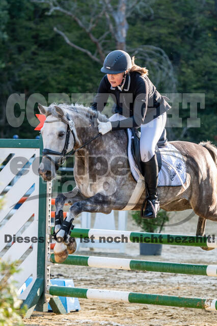 RFV Dinslaken-Hiesfeld (Herbstturnier)