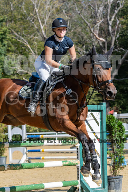 RFV Dinslaken-Hiesfeld (Herbstturnier)