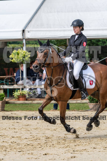 Goldene Schärpe 2021 - Ponys
