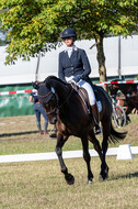 Kronenberg - De Peelbergen (August 2020)