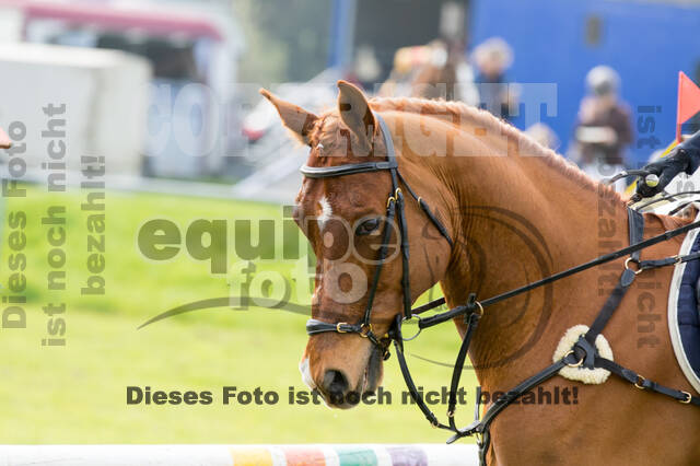 RV Seydlitz Kamp (06.+07.04.2019)