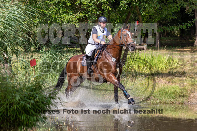 Late-Entry Vielseitigkeit Hamminkeln/Wesel (01.+02.08.2020)