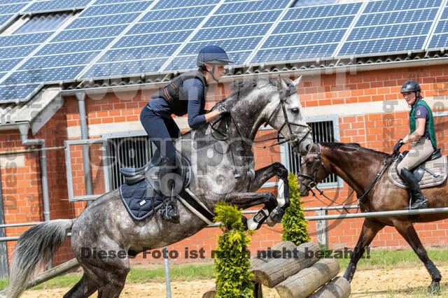 Hunter Geländetraining 10.07.2021 (Sonsbeck)