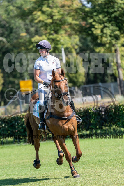 Kronenberg - De Peelbergen (August 2020)