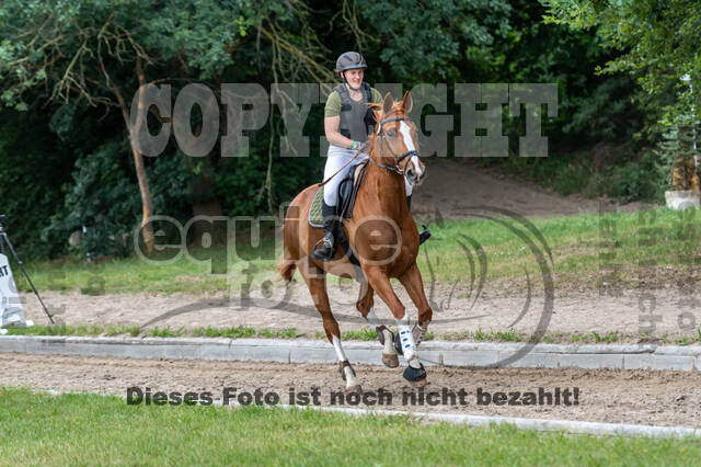 Late-Entry-Vielseitigkeit Langenfeld (11.+13./14.06.2020)