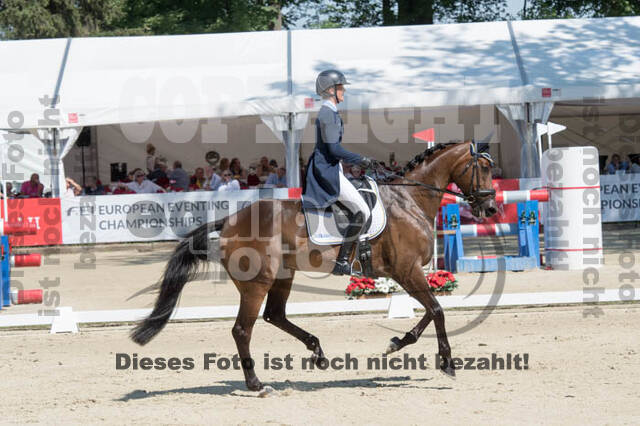 FEI European Championship