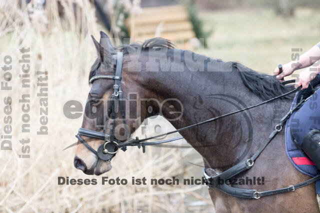 Geländetrainings RSV St. Hubertus Wesel Obrighoven