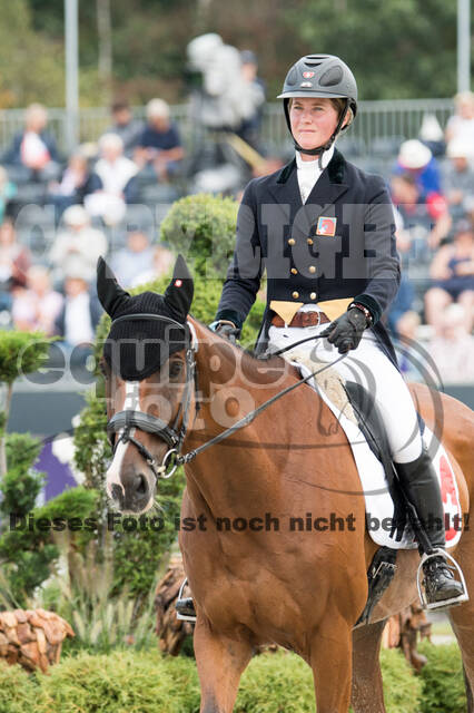 FEI European Championship Eventing 2019