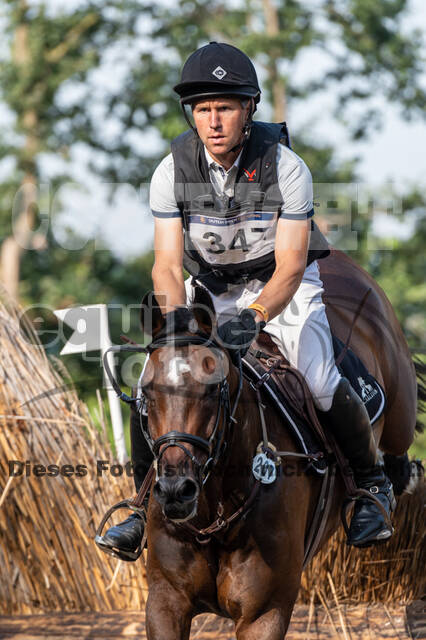 De Peelbergen (August 2020)