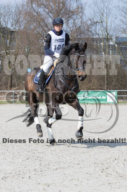 Eventing Langenfeld 2018