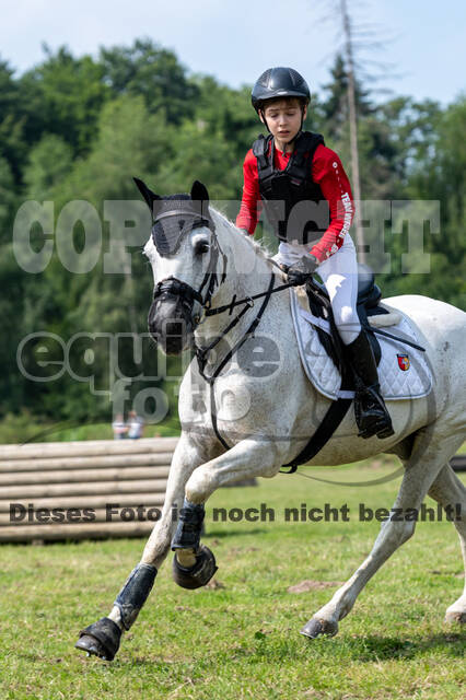 Goldene Schärpe 2021 - Ponys