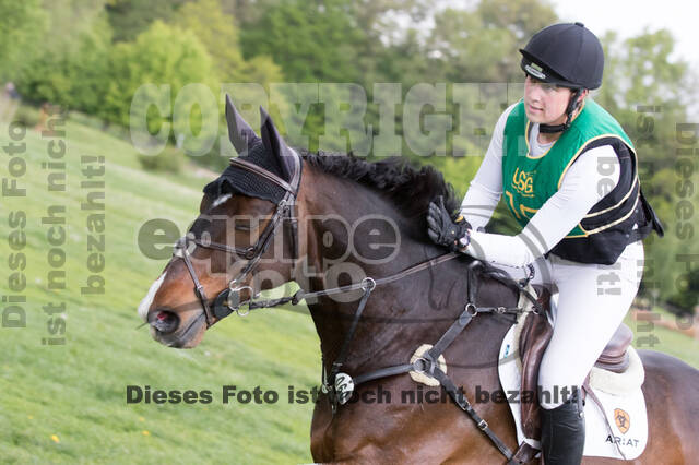 Sterne über Münster 2019 - CCI***S