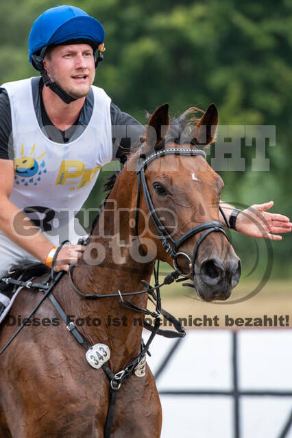Late-Entry Vielseitigkeit Hamminkeln/Wesel (01.+02.08.2020)
