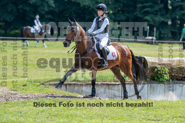 Goldene Schärpe 2021 - Ponys
