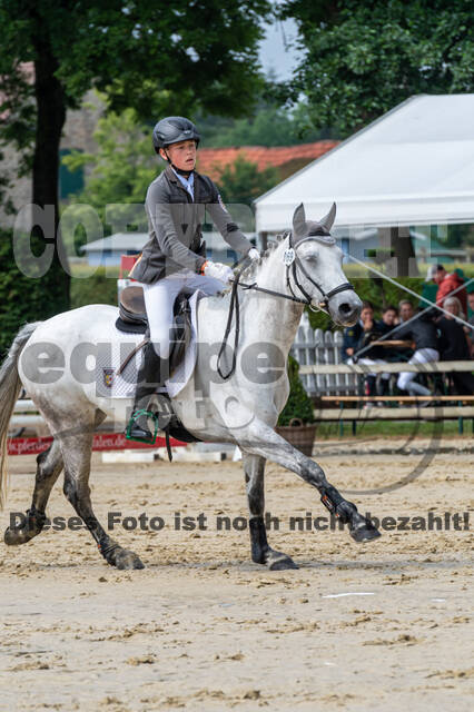 Goldene Schärpe 2021 - Ponys
