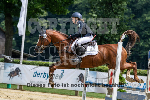 Goldene Schärpe 2021 - Ponys