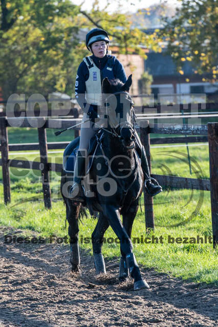 Vielseitigkeitslehrgang mit Jürg Kurbel (9.+10.11.2019)