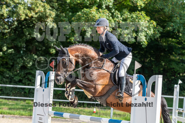 Late-Entry-Vielseitigkeit Langenfeld (06.+07.07.2020)