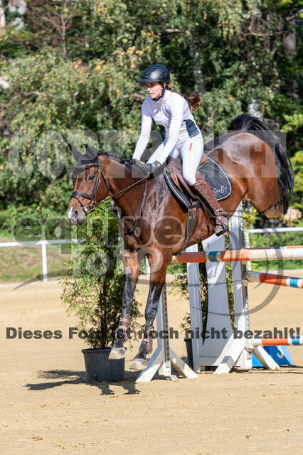 RFV Dinslaken-Hiesfeld (Herbstturnier)