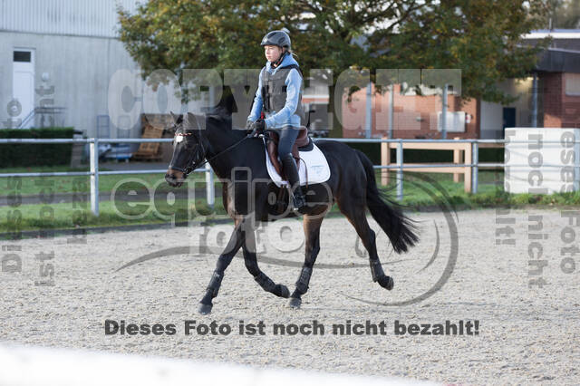IGV Lehrgang der Sieger der Cups mit Frank Ostholt