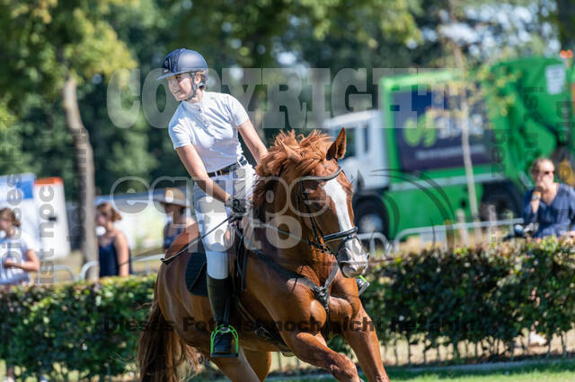 Kronenberg - De Peelbergen (August 2020)