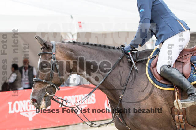 FEI European Championship