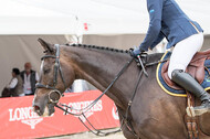 FEI European Championship
