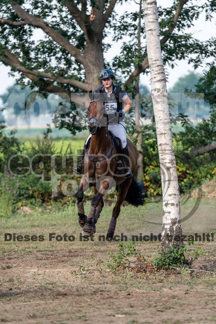 De Peelbergen (August 2020)