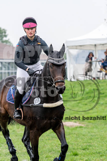 Reiter Schleswig-Holstein