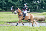 Goldene Schärpe 2021 - Ponys