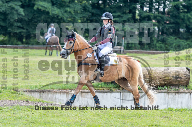 Goldene Schärpe 2021 - Ponys