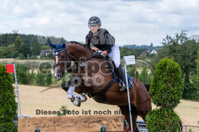 Bonn-Rodderberg Late-Entry-Vielseitigkeit (30.06.2020)
