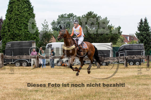 Late-Entry Vielseitigkeit Hamminkeln/Wesel (01.+02.08.2020)