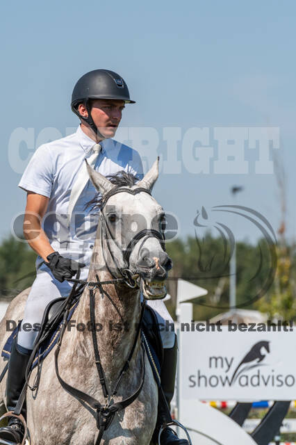 Kronenberg - De Peelbergen (August 2020)