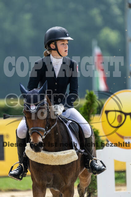 Goldene Schärpe 2021 - Ponys