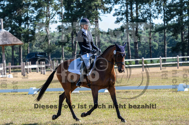 Kronenberg - De Peelbergen (August 2020)